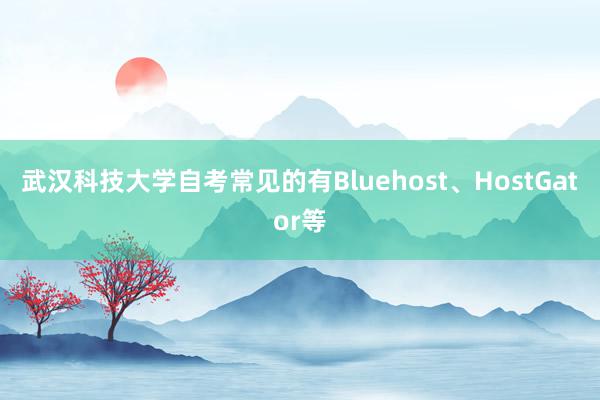 武汉科技大学自考常见的有Bluehost、HostGator等